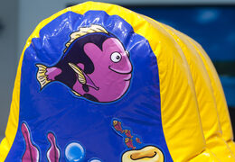 Opblaasbare luchtdichte zeewereld avonturen run kopen voor zowel jong als oud. Bestel opblaasbare zwembadspelen nu online bij JB Inflatables Nederland 