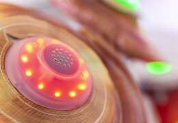 Inflatable drumstel met interactief spelsysteem te koop