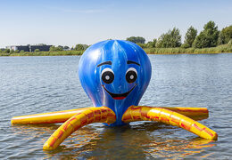 jb waterplay elementen octopus