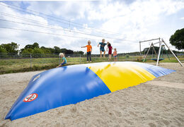 Gepersonaliseerde thema speeltuin airmountain voor kids laten maken bij JB Inflatables Nederland. Springbergen in alle soorten en maten razendsnel op maat gemaakt