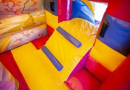 Klein overdekt multifun springkussen bestellen in thema prinses voor kinderen. Koop springkussens online bij JB Inflatables Nederland