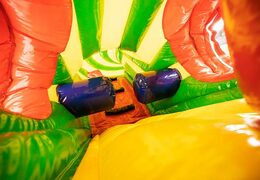 Koop Play and fun krokodil kruiptunnel springkussen voor kinderen. Bestel springkussens online bij JB Inflatables Nederland