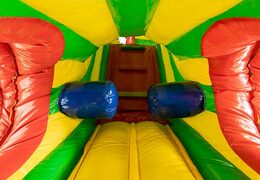 Leeuw kruiptunnel springkasteel met obstakals, een klimhelling en glijhelling voor kids bestellen. Koop springkastelen online bij JB Inflatables Nederland