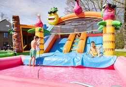 Opblaasbaar splashy slide Flamingo springkussen voor kinderen kopen bij JB Inflatables Nederland. Bestel springkussens online bij JB Inflatables Nederland
