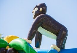 Standaard jungle luchtkussen kopen in opvallende kleuren met bovenop een groot gorilla 3D object voor kinderen. Bestel luchtkussens online bij JB Inflatables Nederland