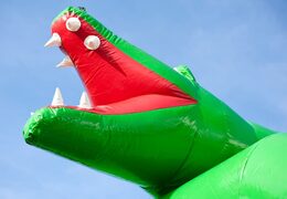 Bestel uniek standaard krokodil luchtkussen met een 3D object bovenop voor kinderen. Koop luchtkussens online bij JB Inflatables Nederland