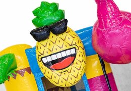 Koop mini multiplay opblaasbare springkasteel met glijbaan in flamingo thema voor kinderen. Bestel opblaasbare springkastelen met glijbaan online bij JB Inflatables Nederland