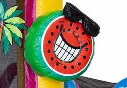 Klein opblaasbare springkussen met glijbaan in flamingo thema kopen voor kinderen. Bestel opblaasbare springkussens online bij JB Inflatables Nederland