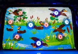  mini shooting gallery ips game verwisselbare duck backsheet  bestellen