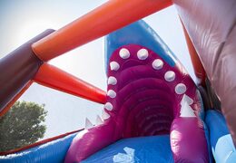 Opblaasbare unieke 17 meter brede stormbaan in thema haai voor kids bestellen. Bestel opblaasbare stormbanen nu online bij JB Inflatables Nederland