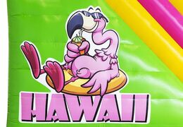 Opblaasbare compacte glijbaan springkussen voor kinderen in hawaii thema te koop