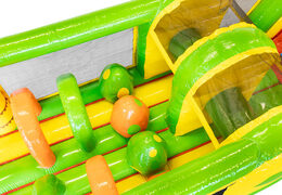 Koop 13 meter lange opblaasbare Dino stormbaan voor kinderen. Bestel opblaasbare stormbanen nu online bij JB Inflatables Nederland