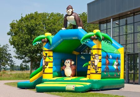 Multifun jungle met gorilla springkussen in felle kleuren en leuke 3D figuren bestellen voor kids bij JB Inflatables Nederland. Koop springkussens nu online bij JB Inflatables Nederland