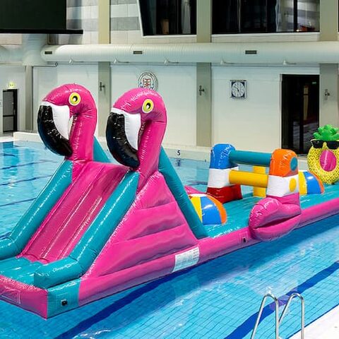 Opblaasbare waterstormbaan huren in flamingo thema voor kinderen