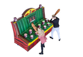 Zap a Mole interactief