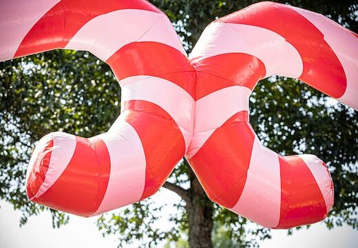 World circus springkasteel bestellen voor kinderen. Koop springkastelen online bij JB Inflatables Nederland 