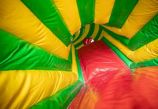 Kruiptunnel leeuw springkasteel met obstakals, een klimhelling en glijhelling voor kids bestellen. Koop springkastelen online bij JB Inflatables Nederland
